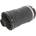 Airmatic Air Spring 2513200025