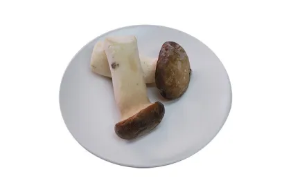 New Harvest Delicious Fresh Frozen Foods / Iqf Frozen Mushroom