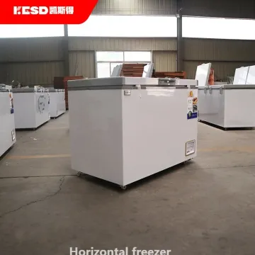 Commercial Large Capacity Freezers Economic Deep Freezer Horizontal Freezers