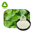 Cepharanthine Powder CAS 481-49-2 anti-kankeringrediënten