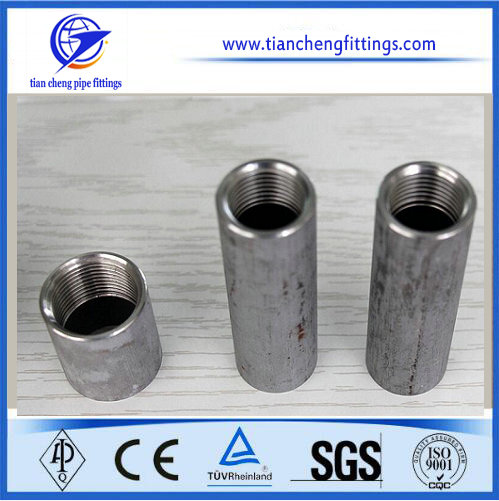 Threaded Stainless Steel DIN259 Pipe Nipples