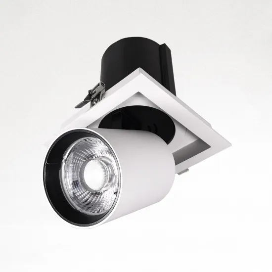 Adjustable Mounted Aluminum LED Downlight for Foyer and Bedroom