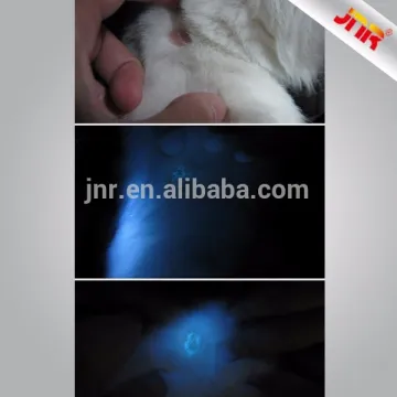 Dog fungus disease examination equipment