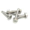 Wholesale metal stainless steel tek screws for roof