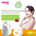 İki mod DIY Meyve Sebze Maske Makin Makinesi