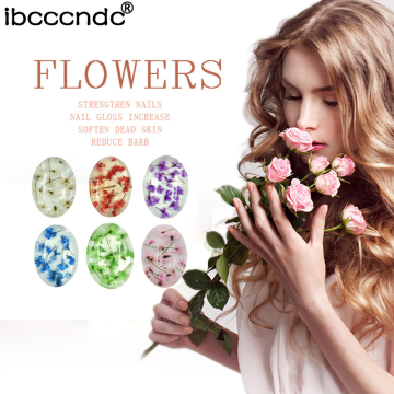Ibcccndc 2021 Popular UV Gel 3ml Gel Nail Polish for Dry Flower Nail Gel Art