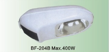 Sodium or Metal Halide Road Light