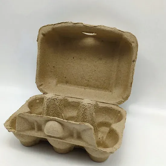 Eco-Friendly 6-Hole Paper Egg Tray