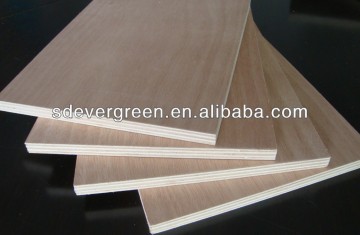 marine plywood/18mm marine plywood /waterproof plywood price