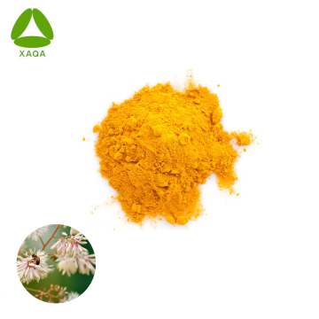 Natural ISO9001 Hot Sale MacLeaya Cordata Extract Powder