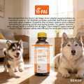 Low MOQ Pet Nutritional Supplement OEM ODM Custom Ganoderma Pet Supplements