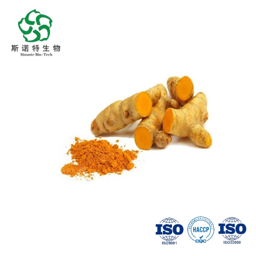 Pure Natural Turmeric Root Extract Powder