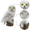 مصابيح LED Solar Resin Owl مع حصة