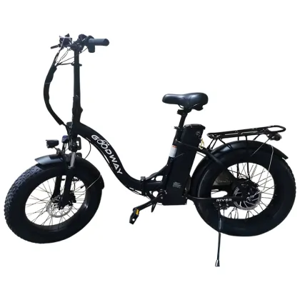 Folding electric bike portable electric bike