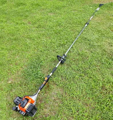 oil palm trees harvest cutting merchants