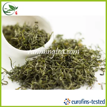 Zhejiang Maofeng Green Tea Wholesale Slim Green Tea                        
                                                Quality Choice