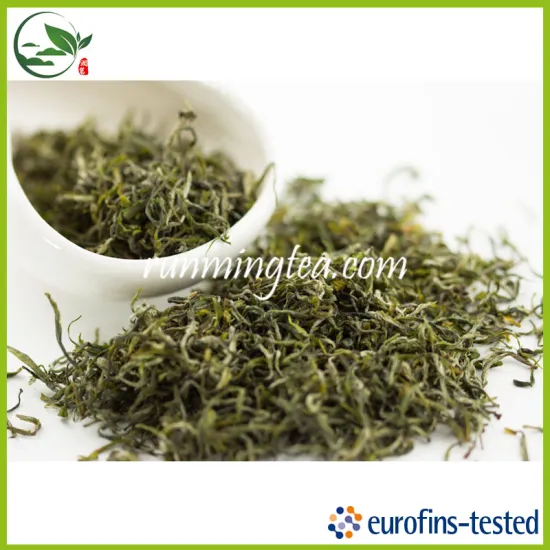 Zhejiang Maofeng Green Tea Wholesale Slim Green Tea                        
                                                Quality Choice
