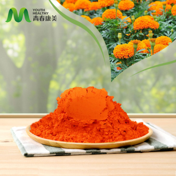Premium marigold ekstrakt za zaštitu očiju