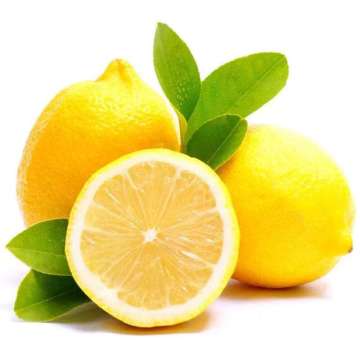 fresh EUREKA LEMON