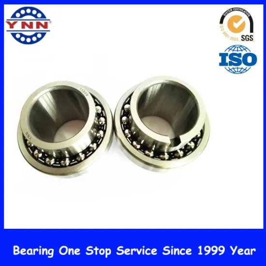 Chinese Manufacture High Precison Self-Aligning Ball Bearing (11209 TN9)