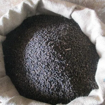 High-Quality Dried Black Pepper: The Ultimate Spicy Addition