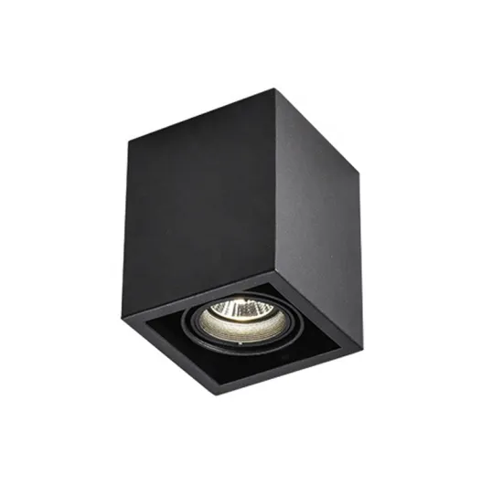 IP20 Waterproof OEM ODM Customized Smart Recessed Downlight LED