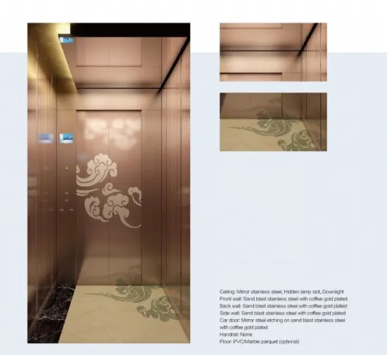 Hot Selling Passenger Elevator Car