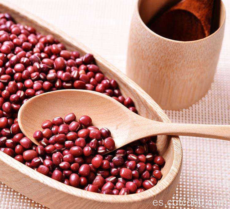 Frijoles rojos pequeños y saludables