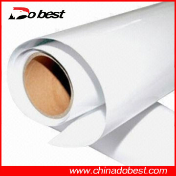 PVC Self Adhesive Vinyl Film