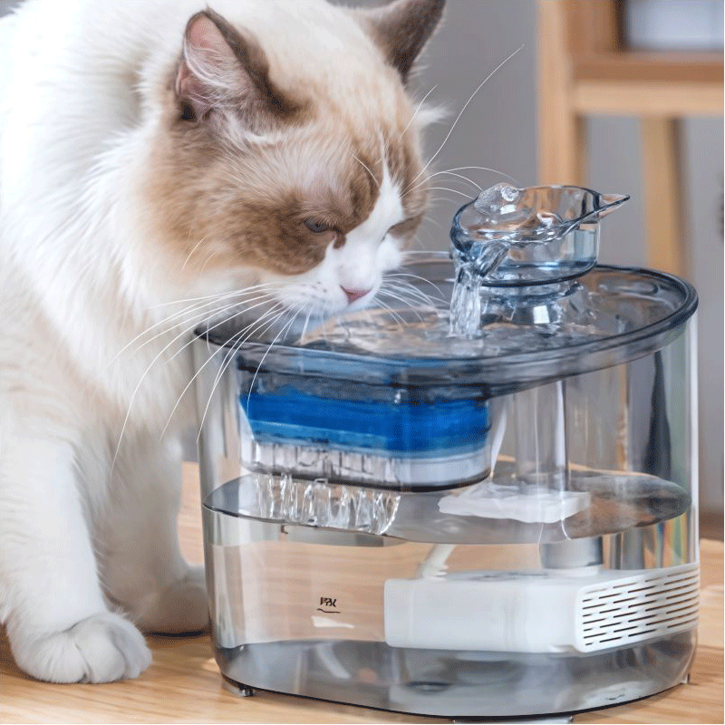 পোষা প্রাণীদের জন্য উচ্চ প্রযুক্তির পোষা জল সরবরাহকারী