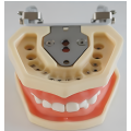 /msite/products/detail/productid/63162996/id/1517769.html