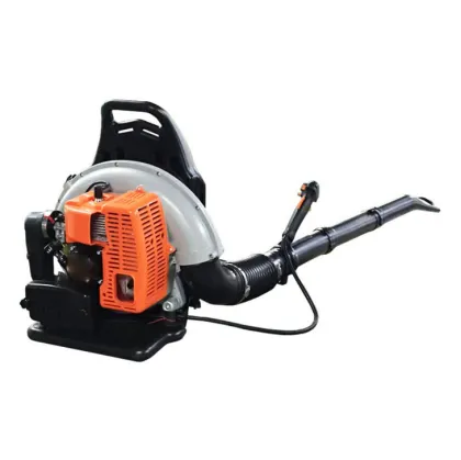 China Good Quality Affordable Snow Blowers and Leaf Cleaners