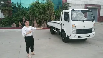 Light duty truck  single row Cabin from OEM Factory