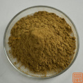 Extracto de astrágalo astragalósido 50% en polvo