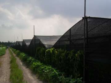 Vegetal Vivero Sun Shade Craft Net