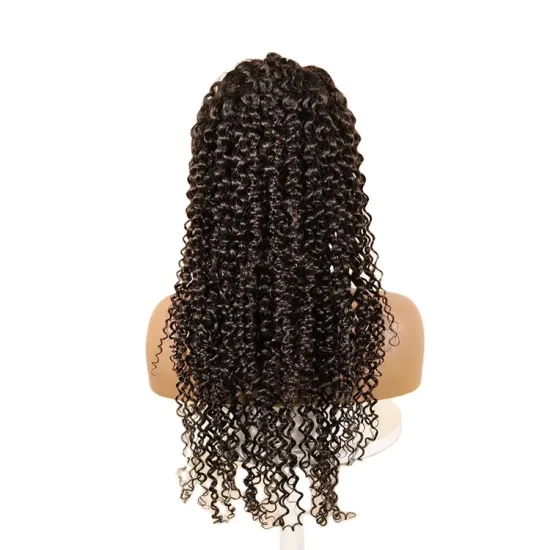 Annione Front Wigs Human Hair Wholesale Swiss Brazilian Raw HD Braided Laces Wigs Vendors, 13x4 Virgin Lace Transparent Long