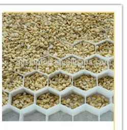Geocells Gravel Paving Grid for Walkway / Parking Lots