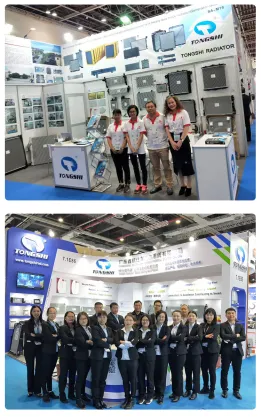 OE F65H18476AA F65Z18476AA Heating Core for Ford Expedition Eddie Bauer V8 4.6L AC Heater Core