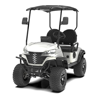 Factory Outlet New 2 Seater Electric Golf Cart - Club Car for Community