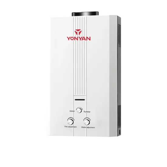 wall mounted flue type gas water heater