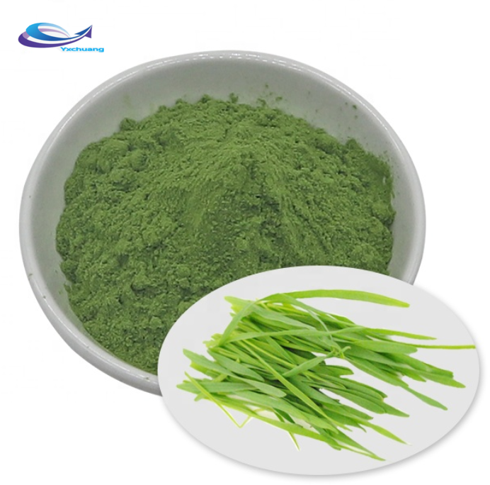 organic barley grass powde