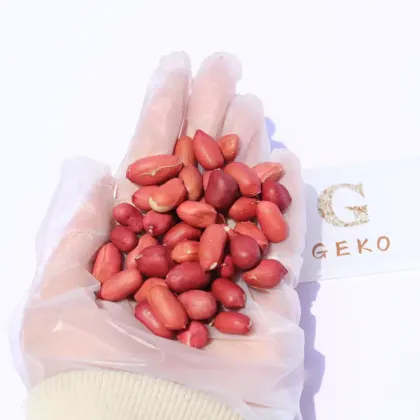 GEKO Food Cheap Wholesale Optimum Nutrition Peanuts for Peanut Oil