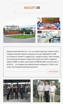 Kewei OEM Stainless Mango Juice Machine - Cold Pressed Juice Maker