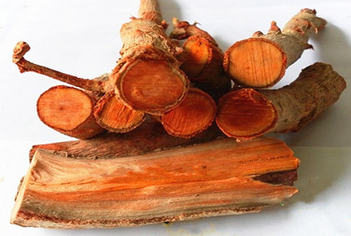 Men's Health Tongkat Ali Root Extract Eurycomanone 1%