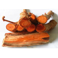 Men's Health Tongkat Ali Root Extract Eurycomanone 1%