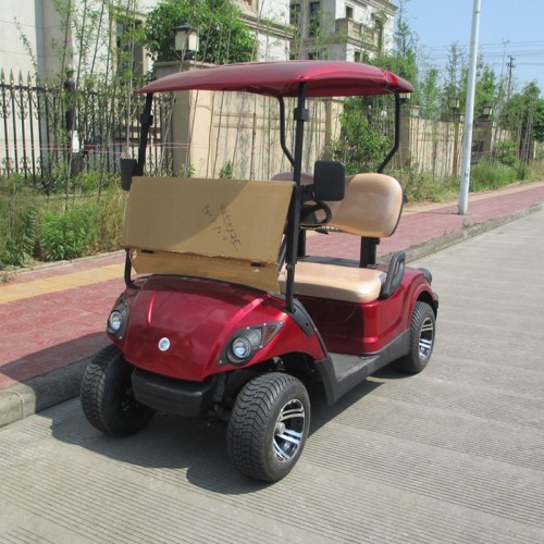 2021 2 Seats Electric Golf Cart Modern Design