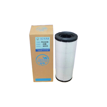 High-Performance Air Compressor Spare Parts - Truck Air Filter P822768