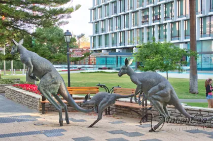 Large kangaroo statue bronze sculpture