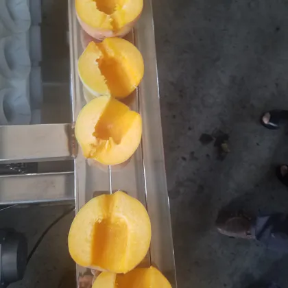 Hot Sale Apricot Plum Avocado Seed Removal Machine | Fruit Core Removing Pitting Machine / Plum Seed Extractor