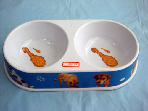 dog bowl with two hole